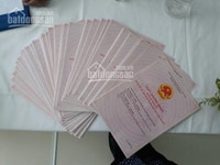 Đất nền sổ đỏ trồng cây lâu năm hồ tràm vũng tàu Đất nền sổ đỏ trồng cây lâu năm hồ tràm vũng tàu