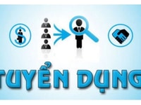 Chi nhánh cửa hàng mới khai trương cần tuyển nhân sự Chi nhánh cửa hàng mới khai trương cần tuyển nhân sự