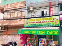 Shop thú cưng yahoo cần nữ phụ việc Shop thú cưng yahoo cần nữ phụ việc