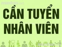 Tuyển gấp Nhân viên hỗ trợ kinh doanh làm hành chính Tuyển gấp Nhân viên hỗ trợ kinh doanh làm hành chính