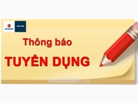 Công ty cần tuyển 01 nhân viên văn phòng hành chính nhân sự Công ty cần tuyển 01 nhân viên văn phòng hành chính nhân sự