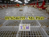 Cung cấp sàn nhựa, vĩ nhựa thoát nước hồ bơi Cung cấp sàn nhựa, vĩ nhựa thoát nước hồ bơi