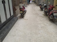 Bán đất Ngọc Trục - Đại Mỗ 40m2, mặt tiền 4.2m, ngõ thắng tặp, Bán đất Ngọc Trục - Đại Mỗ 40m2, mặt tiền 4.2m, ngõ thắng tặp,