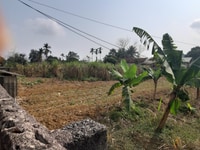 Cần bán gấp lô đất ba mặt tiền diện tích 1800m2, ở xã Nam Phương Tiến Cần bán gấp lô đất ba mặt tiền diện tích 1800m2, ở xã Nam Phương Tiến