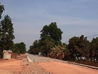 Đất 285 thổ cư 100m2 giá rẻ giật mình, trung tâm chơn thành Đất 285 thổ cư 100m2 giá rẻ giật mình, trung tâm chơn thành