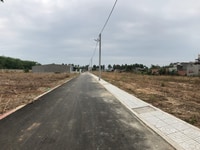 500m2 đất sạch bao quy hoạch tại Hắc Dịch 500m2 đất sạch bao quy hoạch tại Hắc Dịch