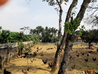 Cần bán gấp 1600m đất thổ cư vị trí đẹp, tại xã Nam Phương Tiến Cần bán gấp 1600m đất thổ cư vị trí đẹp, tại xã Nam Phương Tiến