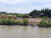 Đất Phú Đông, giá chính chủ đầu tư. Vị trí đẹp, sổ hồng riêng Đất Phú Đông, giá chính chủ đầu tư. Vị trí đẹp, sổ hồng riêng