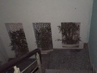 Phòng lầu 1, khu 3 tấm, an ninh, yên tĩnh, gần chợ Bông Sao Phòng lầu 1, khu 3 tấm, an ninh, yên tĩnh, gần chợ Bông Sao