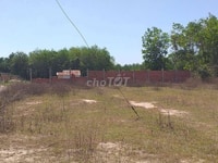 Đất Trồng Cây Chính Chủ 500m Phước Hiệp Củ Chi Đất Trồng Cây Chính Chủ 500m Phước Hiệp Củ Chi