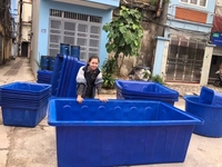 Bán thùng nhựa nuôi cá 1100 lít giá rẻ giao toàn quốc Bán thùng nhựa nuôi cá 1100 lít giá rẻ giao toàn quốc
