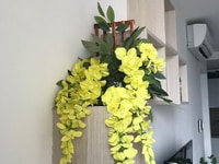 Thanh lý hoa giả, cây cảnh trang trí Thanh lý hoa giả, cây cảnh trang trí