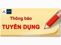 Cần tuyển gấp nam nữ nhân viên hành chính văn phòng Cần tuyển gấp nam nữ nhân viên hành chính văn phòng