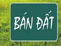 Bán đất xã Xuân Trạch, Đông Anh, DT 300m2, MT 22m, châu cầu Tứ Liên