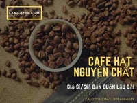 Cung cấp cà phê rang xay nguyên chất giá bán buôn ở Tphcm Cung cấp cà phê rang xay nguyên chất giá bán buôn ở Tphcm