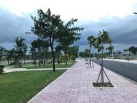 Khu dân cư đức lập hạ QL22 sổ hồng riêng từng nền, liền kề Khu dân cư đức lập hạ QL22 sổ hồng riêng từng nền, liền kề