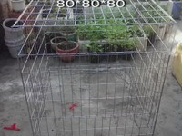 Lồng úp khay tôn cho gà,chim,chó Lồng úp khay tôn cho gà,chim,chó