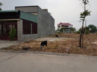 Cần tiền tôi cần bán gấp lô đất ngay cổng khu công nghiệp mỹ phước 3 Cần tiền tôi cần bán gấp lô đất ngay cổng khu công nghiệp mỹ phước 3