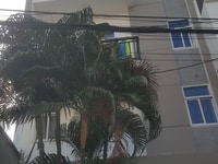 Cần bán tòa chdv có 97 phòng quận bình thạnh Cần bán tòa chdv có 97 phòng quận bình thạnh
