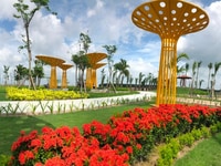 Đất Khu Công Nghiệp Becamex Bàu Bàng Đất Khu Công Nghiệp Becamex Bàu Bàng