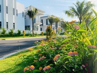 Bellavilla mở bán blok cuối cùng với lãi suất 0% và ck hấp dẫn 29% Bellavilla mở bán blok cuối cùng với lãi suất 0% và ck hấp dẫn 29%