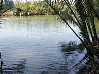 Bán 524m2 đất Cẩm Thanh Hội An 2 mặt view sông, giá đầu tư Bán 524m2 đất Cẩm Thanh Hội An 2 mặt view sông, giá đầu tư
