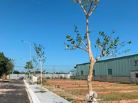 Đất nền KDC Long Điền ngay TTHC Bà Rịa, cam kết mua lại 12%/năm Đất nền KDC Long Điền ngay TTHC Bà Rịa, cam kết mua lại 12%/năm
