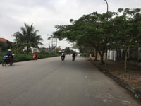 Cho thuê biệt thự khu Anh Dũng 8 Dương Kinh, sân vườn phù hợp làm vp Cho thuê biệt thự khu Anh Dũng 8 Dương Kinh, sân vườn phù hợp làm vp