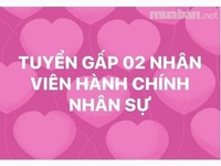 Cần tuyển nhân viên hành chính nhân sự Cần tuyển nhân viên hành chính nhân sự