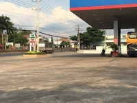 Bán 1 sào đất cách QL1A 500m giá 800 triệu gần chợ Bán 1 sào đất cách QL1A 500m giá 800 triệu gần chợ