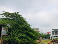 Bán đất KQH xóm Hành ở Huế giá rẻ Bán đất KQH xóm Hành ở Huế giá rẻ