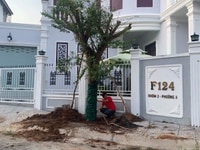 Bán Biệt thự Khu Ngọc Vân, P3, Vĩnh Long Bán Biệt thự Khu Ngọc Vân, P3, Vĩnh Long