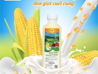 Tìm nhà phân phối và đại lý hàng thực phẩm xanh trên toàn quốc Tìm nhà phân phối và đại lý hàng thực phẩm xanh trên toàn quốc
