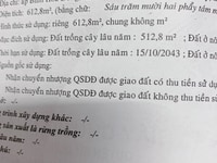 Bán nhanh đất hẻm xe hơi ngay xã Bình Nhì Gò Công Tây, Tiền Giang Bán nhanh đất hẻm xe hơi ngay xã Bình Nhì Gò Công Tây, Tiền Giang