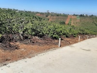 Cần bán đất đồng lạc di linh 259m2, khu dân cư, đường betong 5m Cần bán đất đồng lạc di linh 259m2, khu dân cư, đường betong 5m