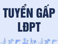 Công ty TNHH Thực Phẩm Gia Huy An Phát cần tuyển 20 nam nữ LĐPT Công ty TNHH Thực Phẩm Gia Huy An Phát cần tuyển 20 nam nữ LĐPT
