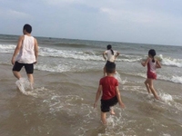 Bán nhanh lô đất 1000m2 hướng biển, giá đầu tư, SHR, sang tên ngay Bán nhanh lô đất 1000m2 hướng biển, giá đầu tư, SHR, sang tên ngay