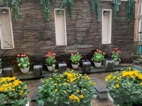 Biệt thự 140m2 phố Thiên Hiền gần tổng cục 2, ô tô, vỉa hè. Biệt thự 140m2 phố Thiên Hiền gần tổng cục 2, ô tô, vỉa hè.
