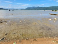 Bán đất cách Biển chỉ 100m Ninh Ích Ninh Hòa DT 1.054 m2 Bán đất cách Biển chỉ 100m Ninh Ích Ninh Hòa DT 1.054 m2