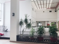 Bán một số căn hộ TDH Phước Bình, Quận 9, đã có sổ hồng Bán một số căn hộ TDH Phước Bình, Quận 9, đã có sổ hồng