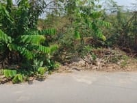 Bán đất vườn MT đường số 8 P Long Phước q9 Bán đất vườn MT đường số 8 P Long Phước q9