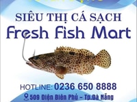 Siêu thị cá sạch 509 Điện Biên Phủ cần tuyển 1 Marketing Digital Siêu thị cá sạch 509 Điện Biên Phủ cần tuyển 1 Marketing Digital