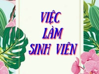 Việc làm thêm cho sinh viên ưu tiên cho các bạn tại khu vực quận 12 Việc làm thêm cho sinh viên ưu tiên cho các bạn tại khu vực quận 12