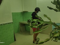 Nhà mới sửa chữa 1 trệt 2 lầu sân phơi thoáng. Nhà mới sửa chữa 1 trệt 2 lầu sân phơi thoáng.