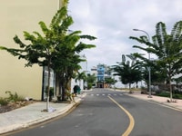 Bán Lô Góc đường 30M Và 27M 287,5M2 Khu đô Thị Mỹ Gia Thái Hưng Gói 5 Bán Lô Góc đường 30M Và 27M 287,5M2 Khu đô Thị Mỹ Gia Thái Hưng Gói 5