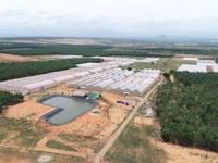 Bán đất vườn Sân bay Phan Thiết, 4400m2, 310 triệu, có sổ, Bán đất vườn Sân bay Phan Thiết, 4400m2, 310 triệu, có sổ,