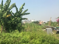 Cần bán gấp lô đất 500m2 Mặt tiền Đường số 11, Trường Thọ, Thủ Đức Cần bán gấp lô đất 500m2 Mặt tiền Đường số 11, Trường Thọ, Thủ Đức