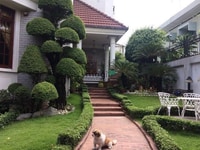 Chính chủ bán nhà MT Nguyễn Đình Chiểu quận 3, DT 19x24m, Chính chủ bán nhà MT Nguyễn Đình Chiểu quận 3, DT 19x24m,