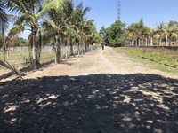 Bán đất vườn gần trung tâm thị trấn Củ Chi, 3000m2 . Bao xây dựng Bán đất vườn gần trung tâm thị trấn Củ Chi, 3000m2 . Bao xây dựng