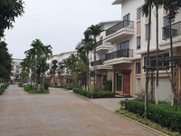 Bán gấp 1 căn biệt thự Hud B hơn 200m2 10 tỷ Bán gấp 1 căn biệt thự Hud B hơn 200m2 10 tỷ